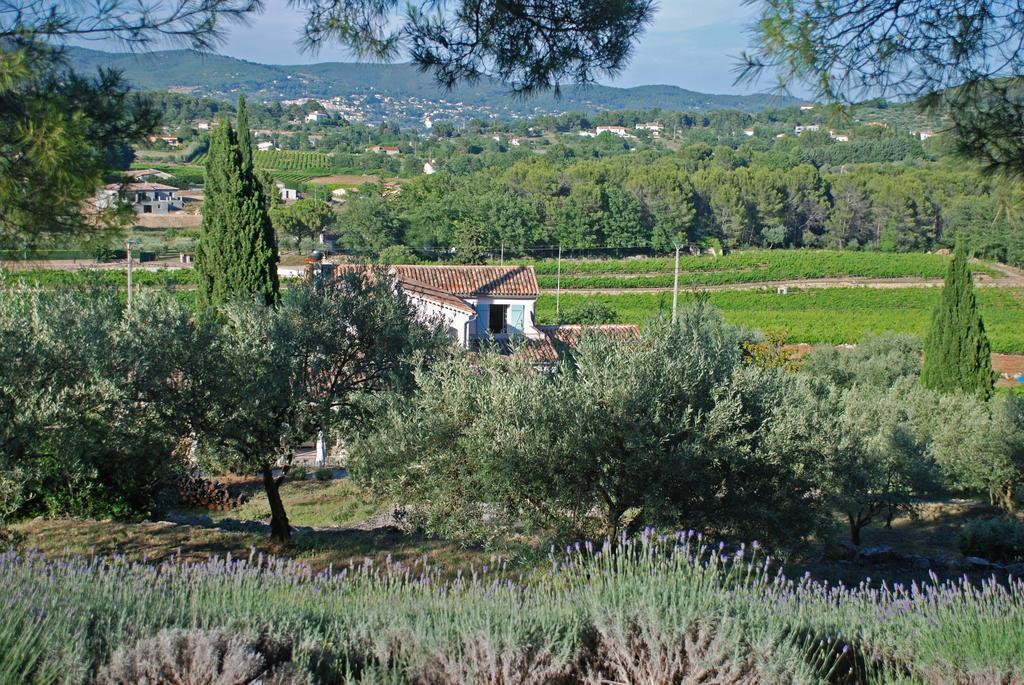 Domaine Rabiega - Vineyard And Boutique Hotel Draguignan Kültér fotó