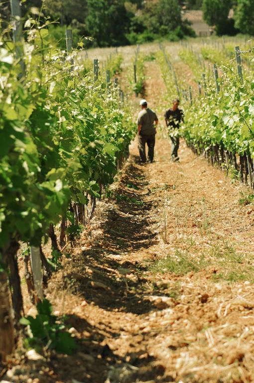 Domaine Rabiega - Vineyard And Boutique Hotel Draguignan Kültér fotó
